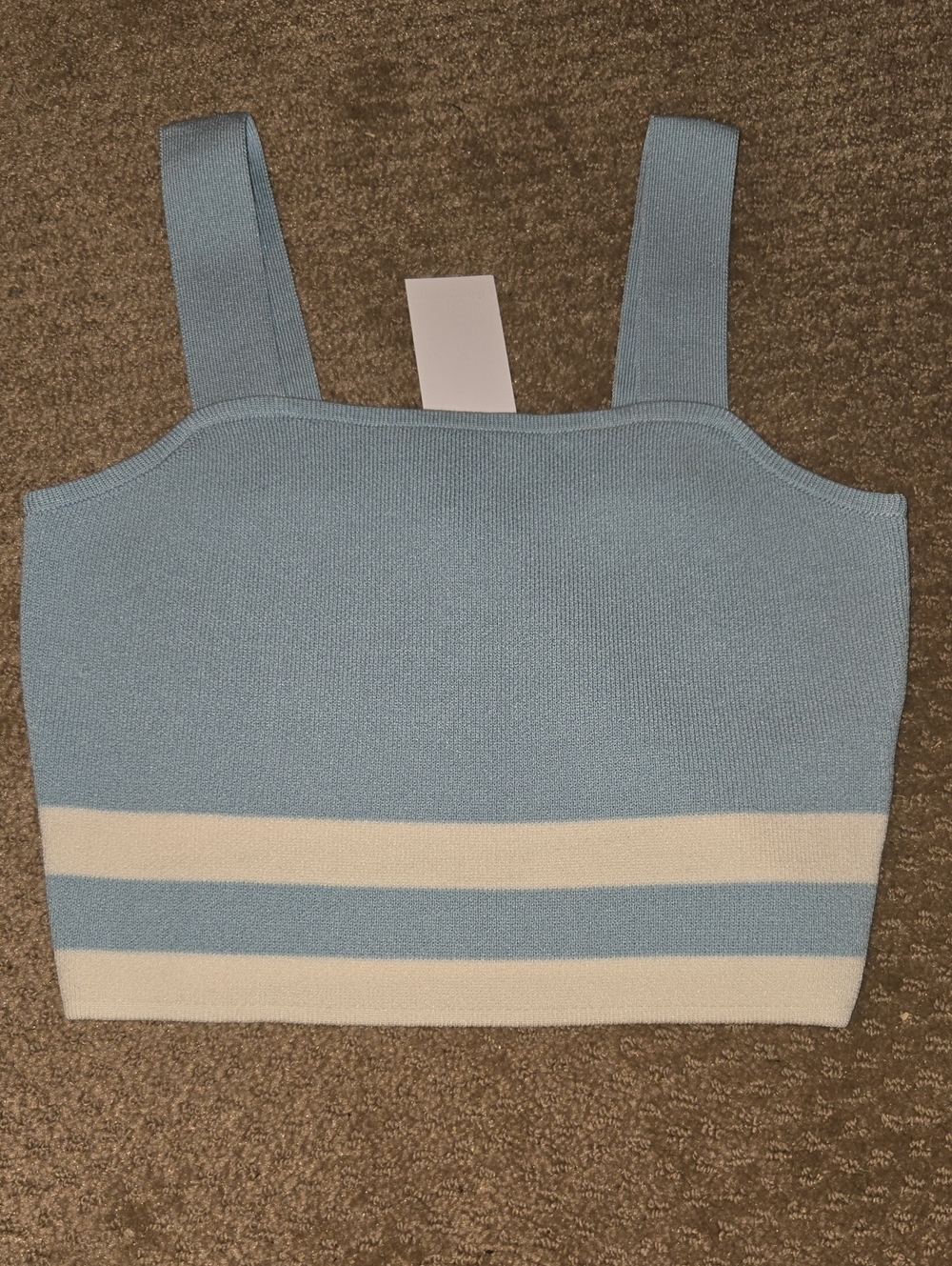 NWT Blue & White Striped Knit Cropped Tank